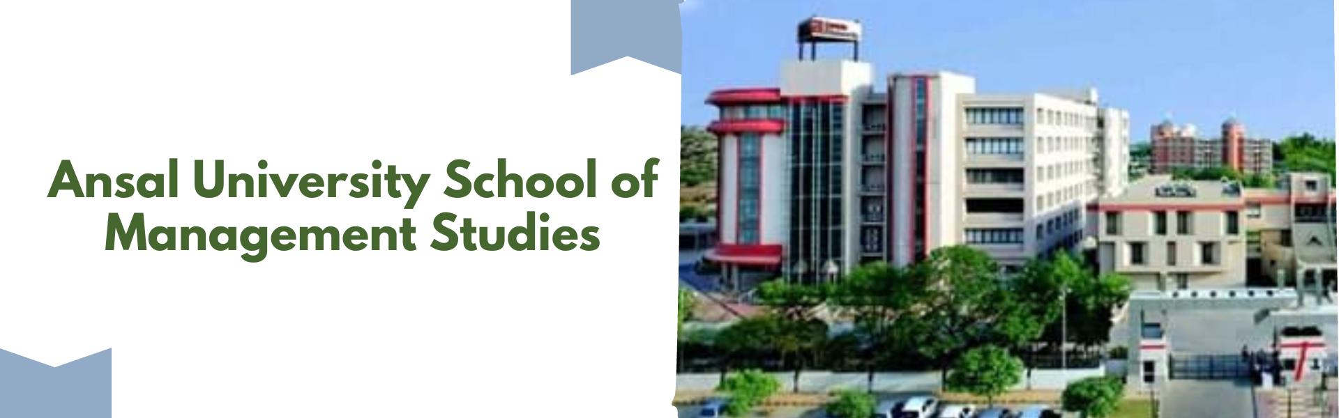 Ansal University School of Management Studies
